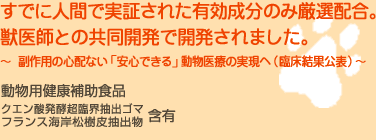 �����p���N�⏕�H�i�p���t�F�m��