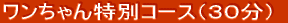 �����������ʃR�[�X�i�R�O���j 