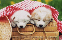 �����N�W