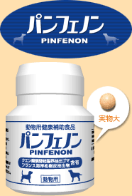 �p���t�F�m��