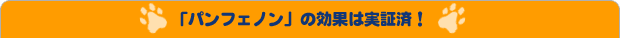 �u�p���t�F�m���v�̌��ʂ͎��؍ρI