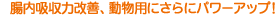 ���̕a�C����̌��N�u�p���t�F�m���v�����z���͉��P�A�����p�ɂ���Ƀp���[�A�b�v�I