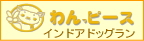 インドアドッグランのわんピース